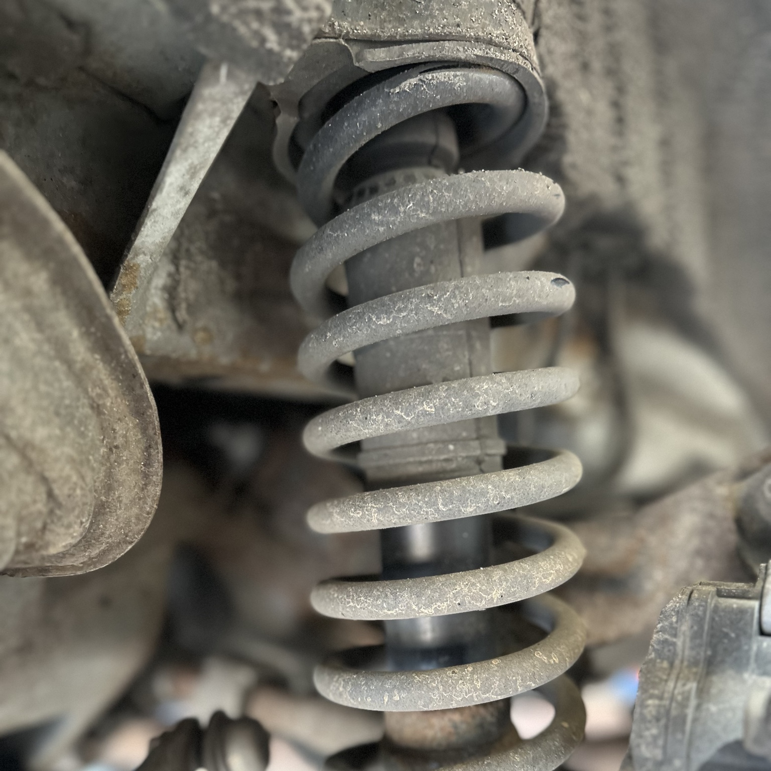 Vehicle suspension spring and shock absorber